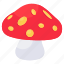 mushroom, vegetable, food, edible, toadstool 