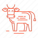 bull, calf, cow, food, meat, restaurant, steak