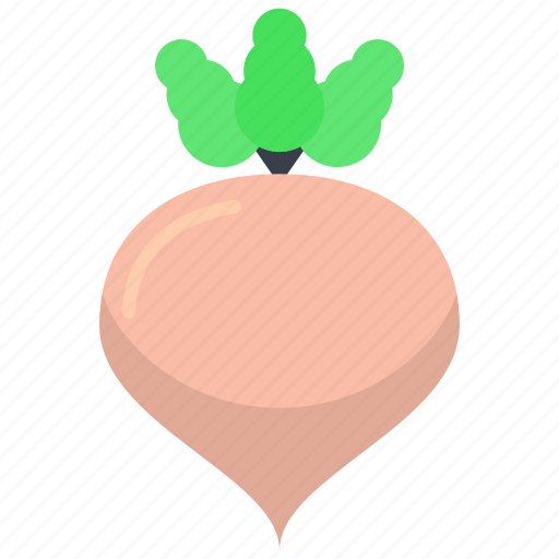 Fodder radish, kohlrabi, turnip, vegetable, white turnip icon - Download on Iconfinder
