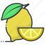 citrus fruit, food, fruit, lemon slice, orange slice 
