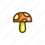 mushroom, shroom 