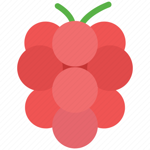 Bunch of grapes, food, fruit, grapes, healthy food icon - Download on Iconfinder