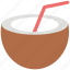 beverage, coconut, coconut water, drink, healthy, straw 