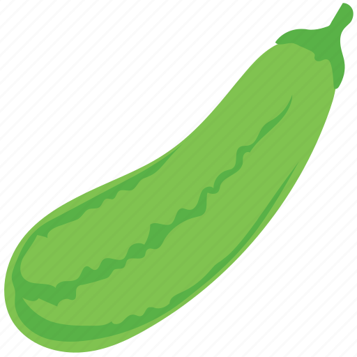 Courgette, food, raw food, vegetable, zucchini icon - Download on Iconfinder