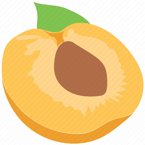 Apricot, food, fruit, half peach, healthy diet, peach icon - Download on Iconfinder
