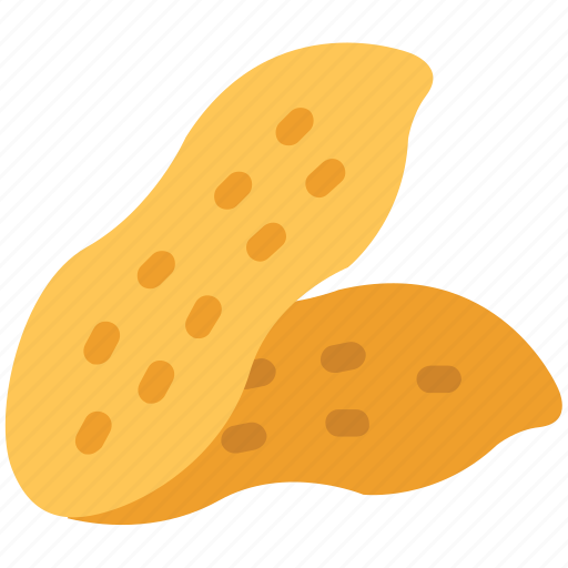 Dry fruit, food, groundnut, nut, peanut icon - Download on Iconfinder