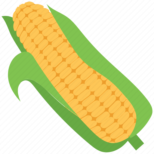 Cob, corn, corncob, food, grain, maize, vegetable icon - Download on Iconfinder