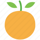 citrus, food, fruit, healthy food, orange