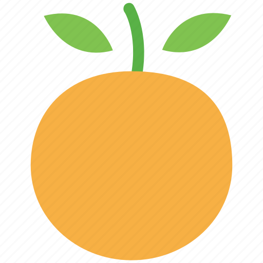 Citrus, food, fruit, healthy food, orange icon - Download on Iconfinder