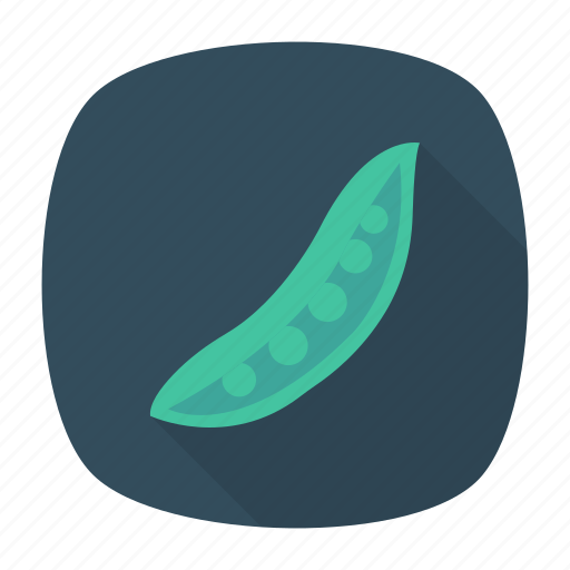 Bean, pea, peas, vegetable icon - Download on Iconfinder