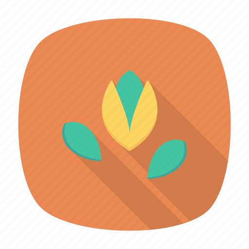 Bean, food, pea, vegetable icon - Download on Iconfinder
