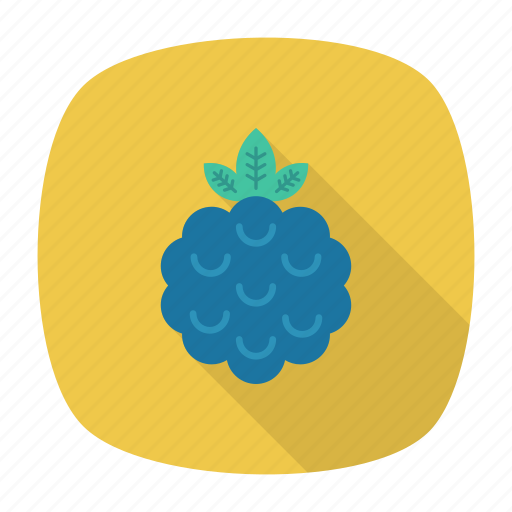 Blueberry, eat, fruit, healthy icon - Download on Iconfinder