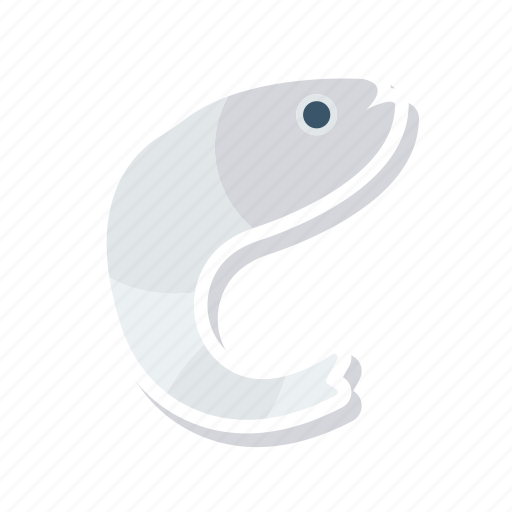 Fish, jellyfish, seafood, shark icon - Download on Iconfinder