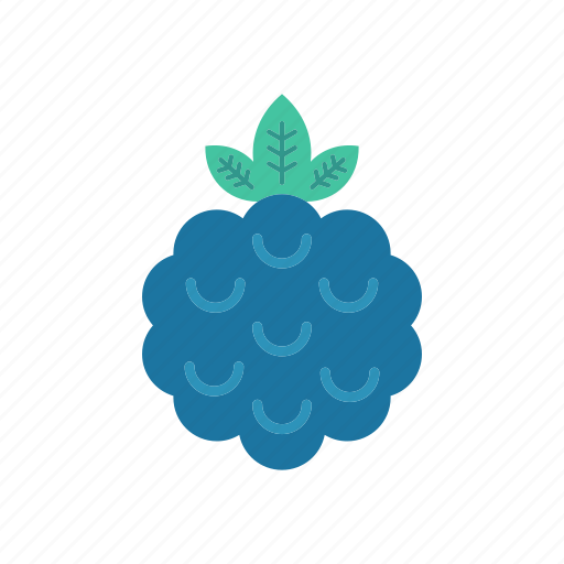 Blueberry, eat, fruit, healthy icon - Download on Iconfinder
