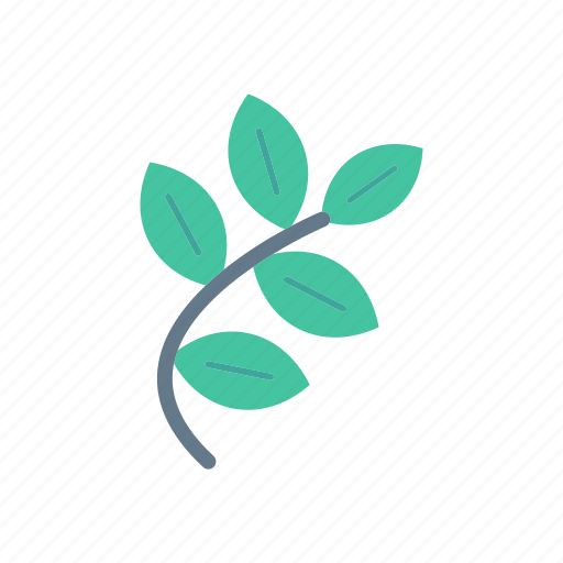 Green, leaf, leave, nature icon - Download on Iconfinder