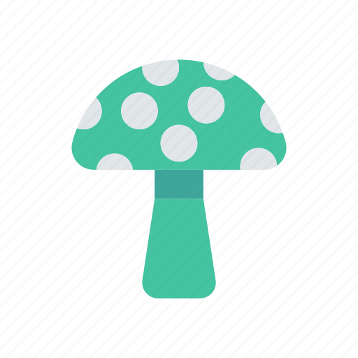Amanita, champignon, food, mushroom icon - Download on Iconfinder
