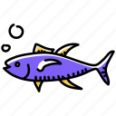fish, tuna, albacore, bluefin, tuna fish