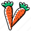carrots, organic carrots, vegetable, healthy food, organic food 