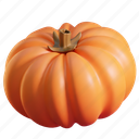 pumpkin, vegetable, autumn, food 