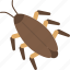 cockroach, insect, dirty, waste, pest 