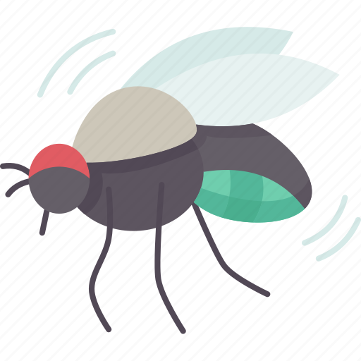 Flies, insect, pest, domestic, dirty icon - Download on Iconfinder