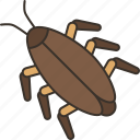 cockroach, insect, dirty, waste, pest