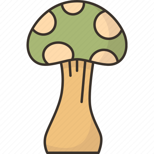 Mushroom, poison, toxic, danger, caution icon - Download on Iconfinder