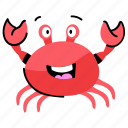 seafood, crab, specie, creature, food 