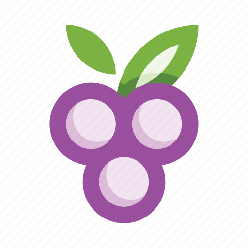 Berries, berry, grape, purple, grapes, bunch of grapes, fresh icon - Download on Iconfinder