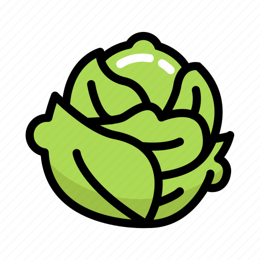Cabbage, fresh, fruit, green, healthy, organic, vegetable icon - Download on Iconfinder
