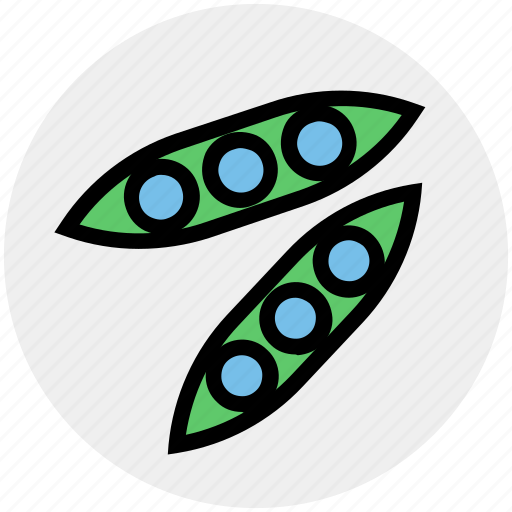 Bean, cooking, food, food health, organic, peas, vegetables icon - Download on Iconfinder