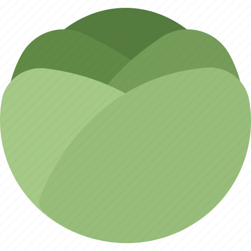 Cabbage, vegetable, lettuce icon - Download on Iconfinder