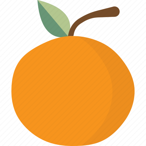 Citrus, fruit, orange icon - Download on Iconfinder
