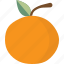 citrus, fruit, orange 