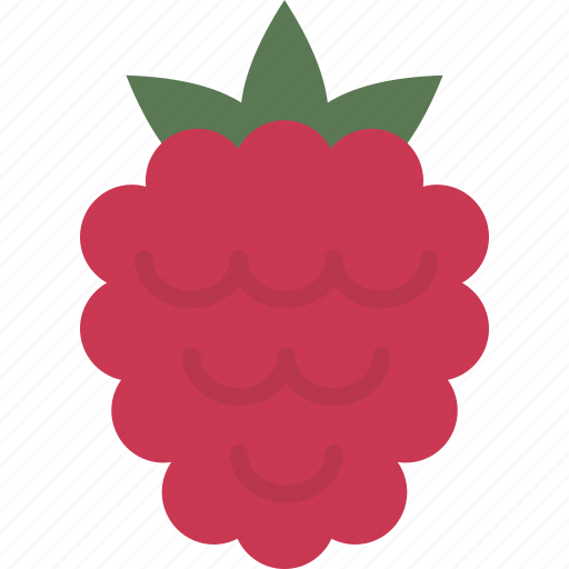 Berry, raspberry icon - Download on Iconfinder on Iconfinder