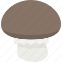 mushroom, vegetable