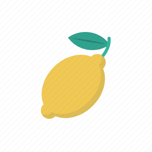 Citrus, fruit, lemon, lime, slice icon - Download on Iconfinder