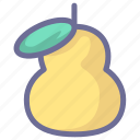 pear, fruit