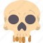 human, skull, anatomy, bone, medical 