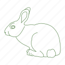 animal, bunny, cottontail, forest, rabbit 