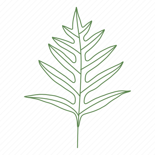 Forest, leaf, leaves, palm, plant, tree icon - Download on Iconfinder