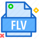 extension, file, flv, folder, tag