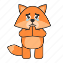 fox, begging, cute, cry