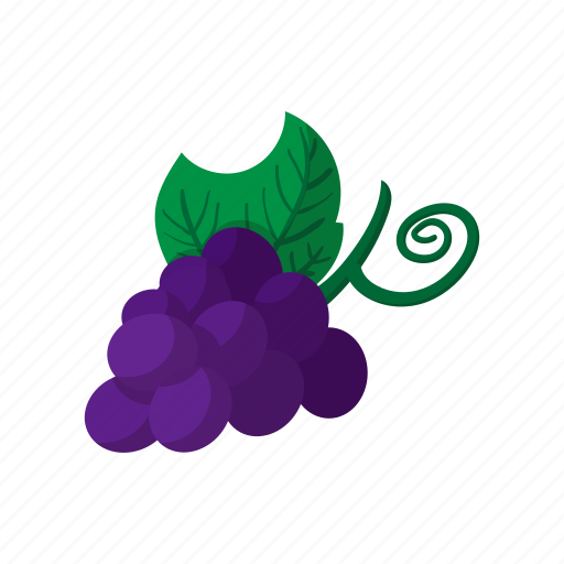 Berry, cartoon, fruit, grape, healthy, ripe, vine icon - Download on Iconfinder