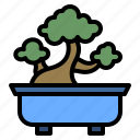 freetime, bonsai, plant, tree, gardening, garden 