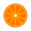 cross section, fresh, fruit, high saturation, orange 