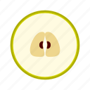 cross section, fresh, fruit, high saturation, pear