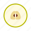 cross section, fresh, fruit, high saturation, pear 