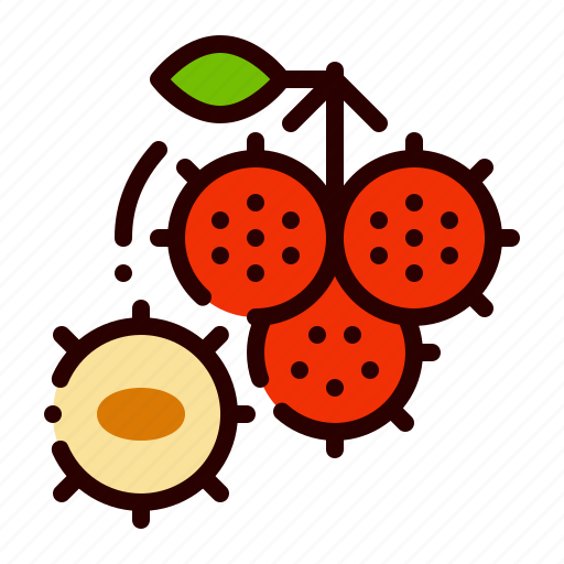 Fruit, rambutan, soft, spines, tropical icon - Download on Iconfinder