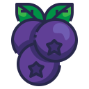 blueberry, healthy, organic, food, fruit icon